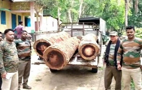 Charilam: Wood log along with a vehicle seized at Nabo Shantiganj area in Jampuijala, smugglers escaped